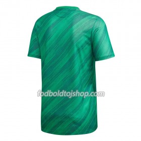 Nordirland Hjemmebanetrøje Euro 2020 S/S